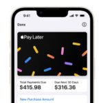 Apple Pay Later