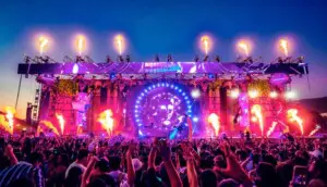 Nocturnal Wonderland