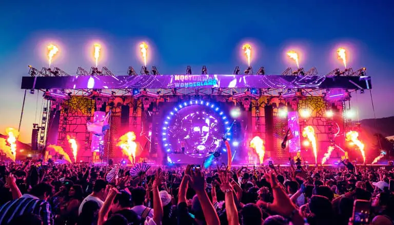 Nocturnal Wonderland