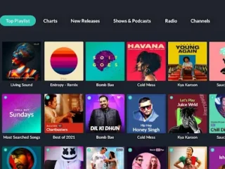 JioSaavn