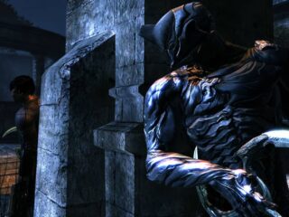 Dark Sector