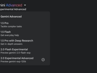 Gemini 2.0 Experimental Advanced