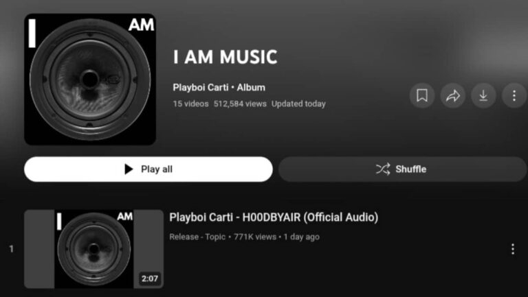 Playboi Carti I Am Music Fake Album