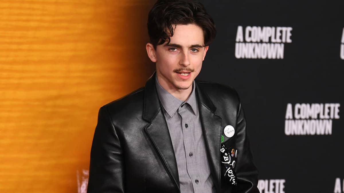 How Timothée Chalamet Became One of the Most Likeable Celebrities