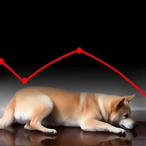 Doge Decline