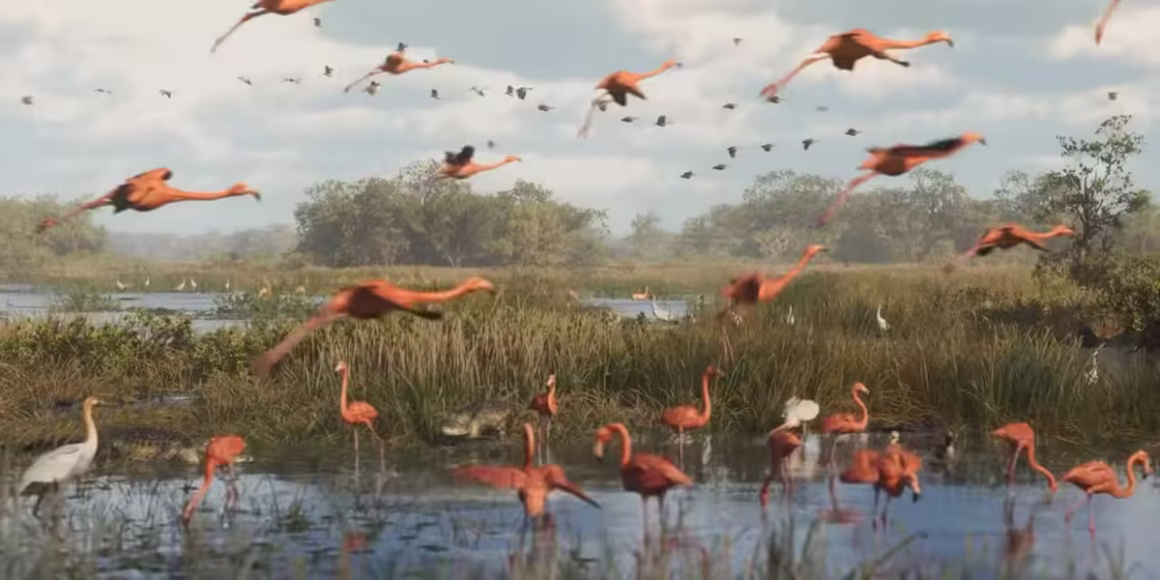 GTA 6 Swamp and Birds