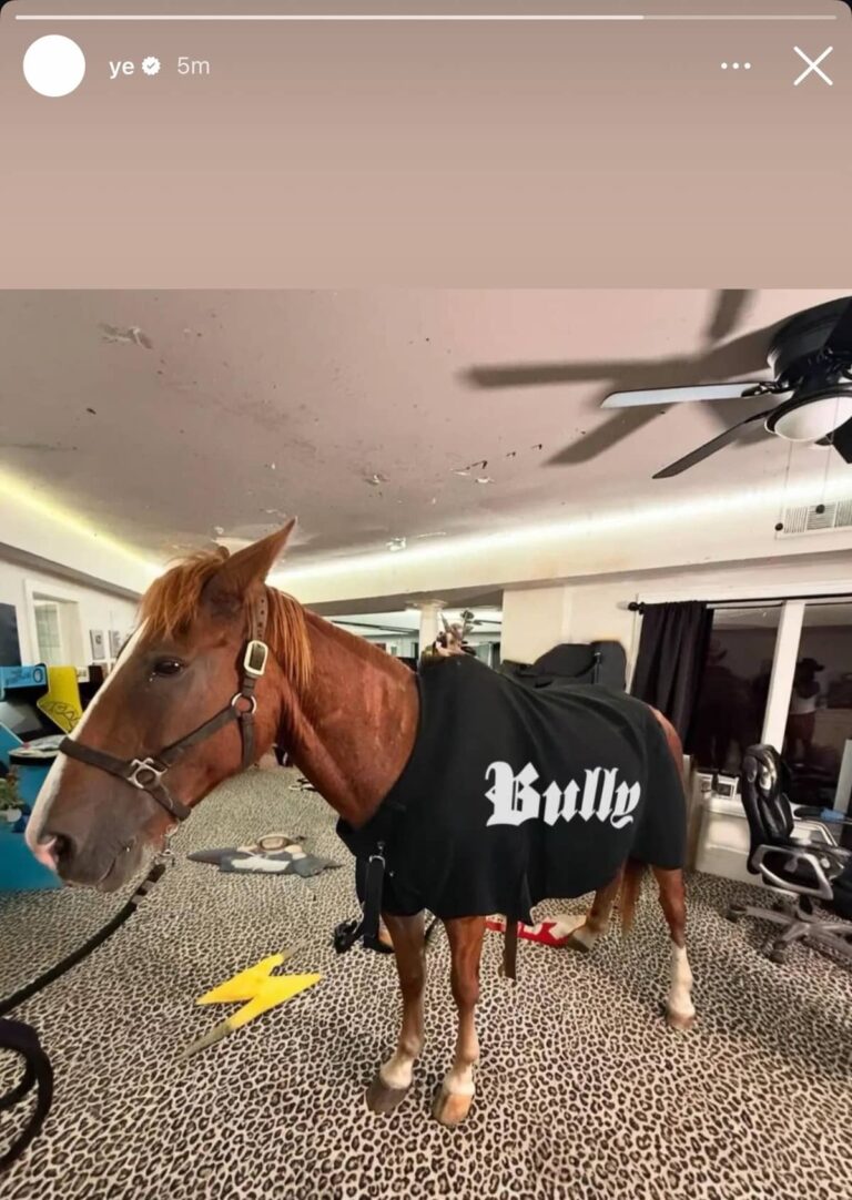 Kanye West Posts Viral Horse Photo to Promote New Album Bully