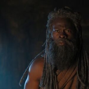 Marvel and DC Star Djimon Hounsou