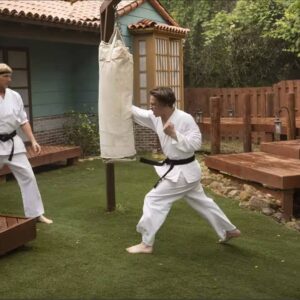 Cobra Kai Season 6 Part 3: The Shocking Finale Begins February 2025