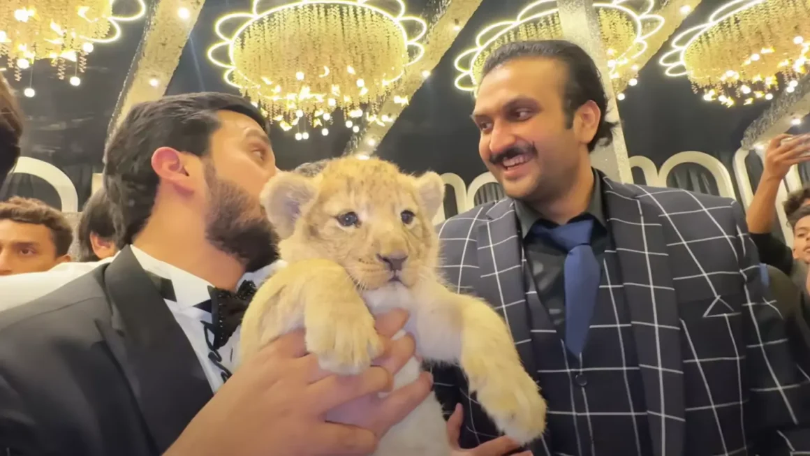 Pakistani YouTuber Punished for Illegally Keeping a Lion