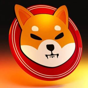 SHIBA INU SHIB COIN 1