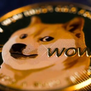 Shiba Inu Lead Redefines Ecosystem with SHIB, BONE, LEASH, and TREAT