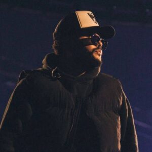 The Weeknd Concert Photo
