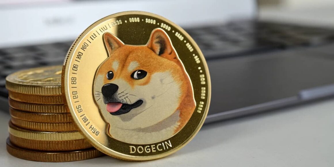 DOGE COIN