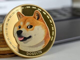 DOGE COIN