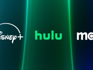 Disney+ Hulu Max Bundle