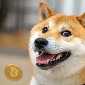 Dogecoin