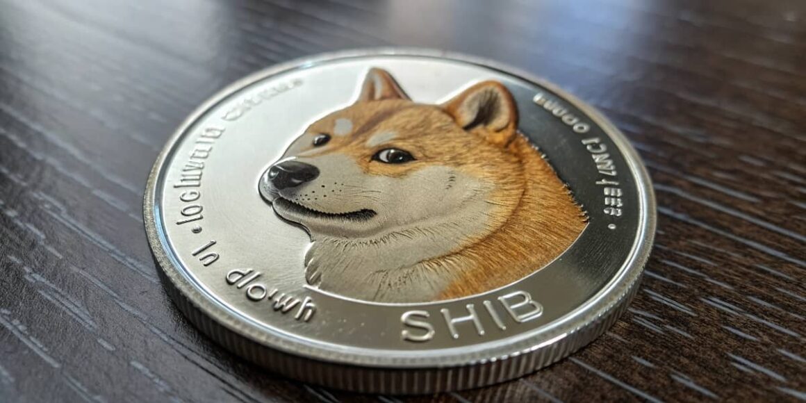 Shiba Inu SHIB Coin