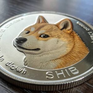 Shiba Inu SHIB Coin