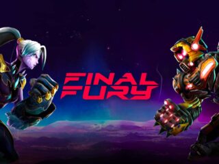 FINAL FURY