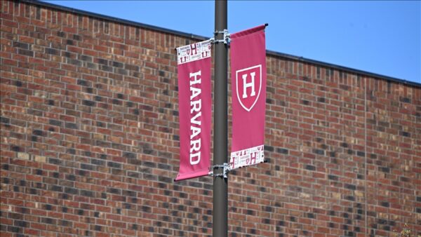 Harvard University
