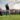Happy Gilmore 2