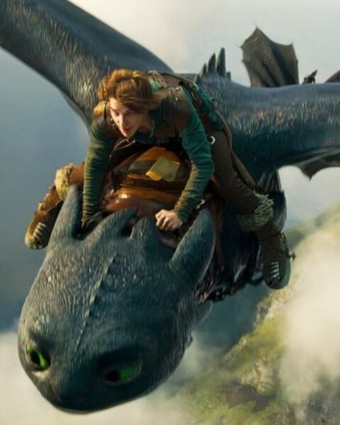 How to Train Your Dragon