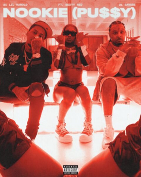 Nookie (Pu$$y) - 21 Savage, 21 Lil Harold, Sexyy Red