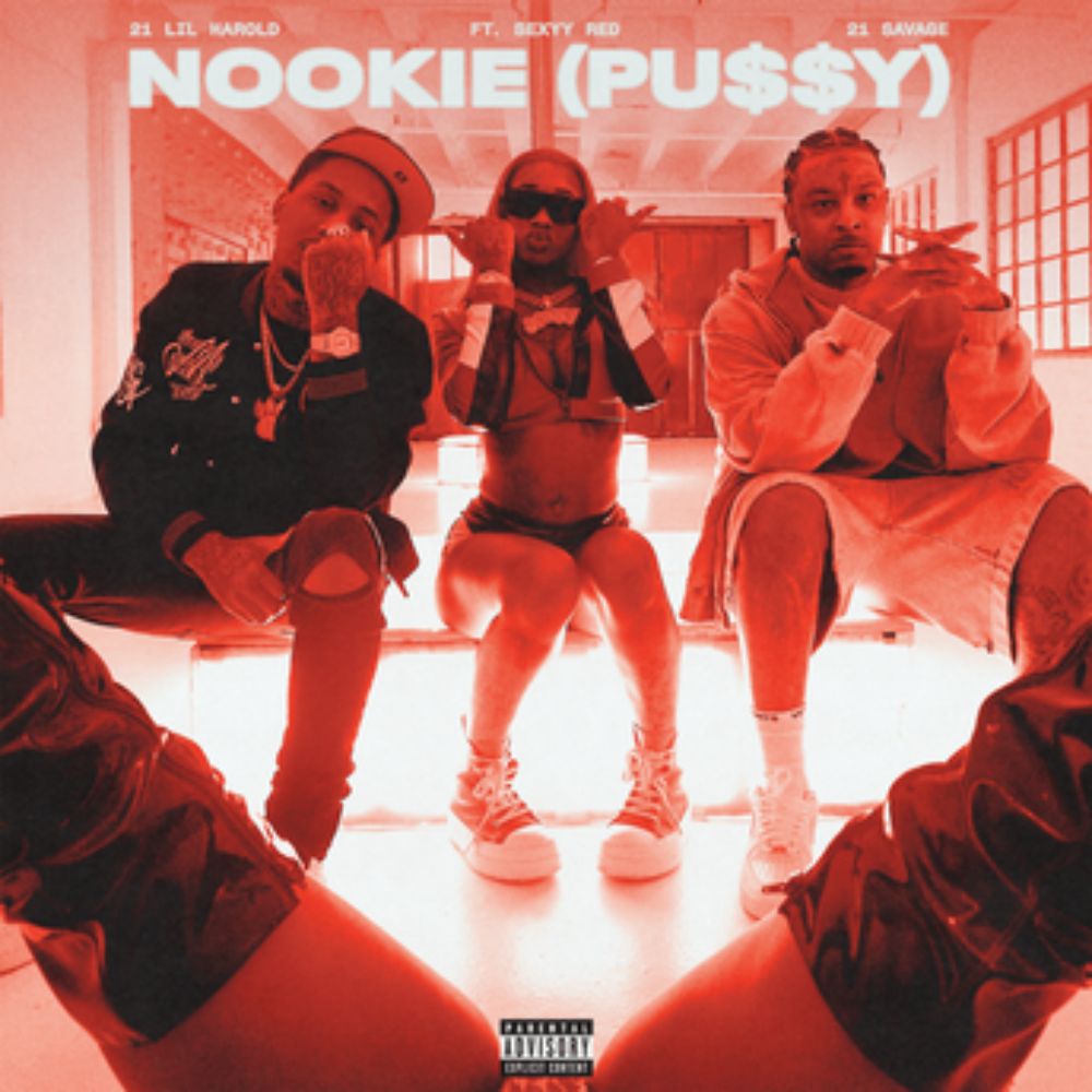 Nookie (Pu$$y) - 21 Savage, 21 Lil Harold, Sexyy Red