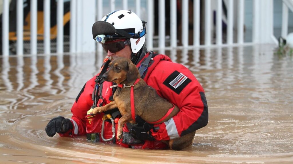 A FEMA Urban Search and Rescue team from Los Angeles, California responds to the Houston, Texas area following Hurricane Harvey, on Aug