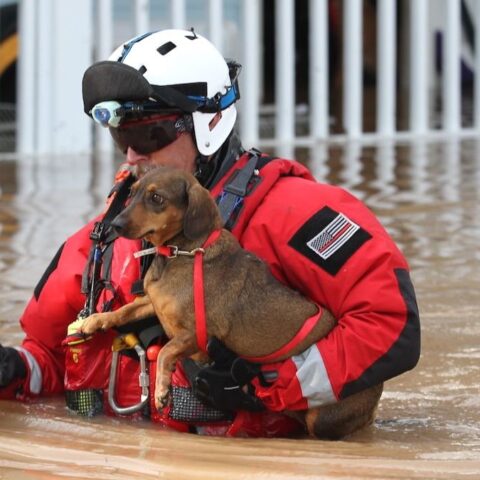 A FEMA Urban Search and Rescue team from Los Angeles, California responds to the Houston, Texas area following Hurricane Harvey, on Aug