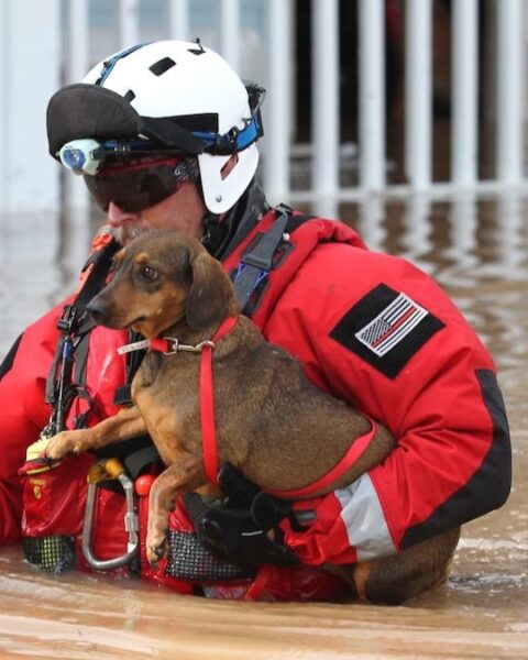 A FEMA Urban Search and Rescue team from Los Angeles, California responds to the Houston, Texas area following Hurricane Harvey, on Aug