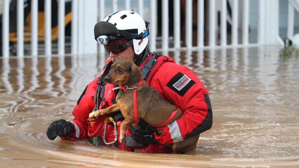 A FEMA Urban Search and Rescue team from Los Angeles, California responds to the Houston, Texas area following Hurricane Harvey, on Aug