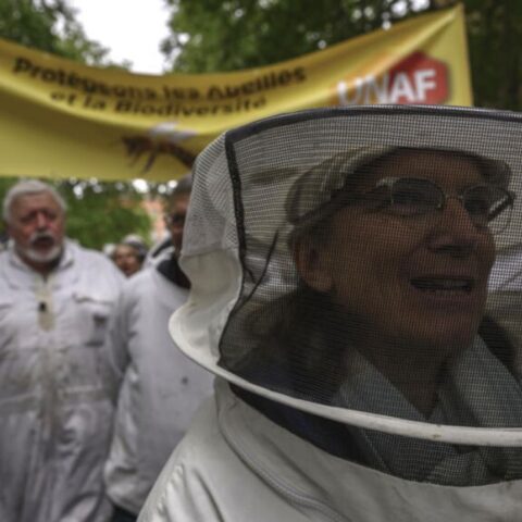 Beekeepers have branded the pesticide 'a bee killer'