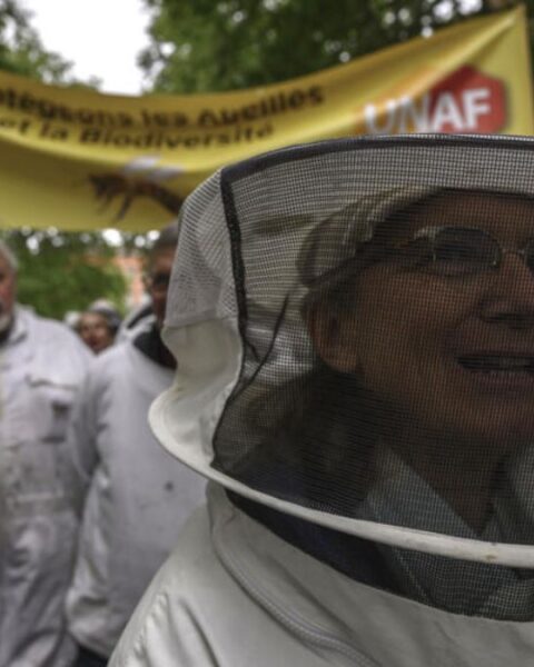 Beekeepers have branded the pesticide 'a bee killer'
