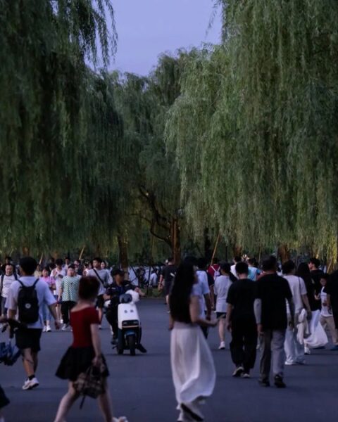 Chinese City, Hangzhou