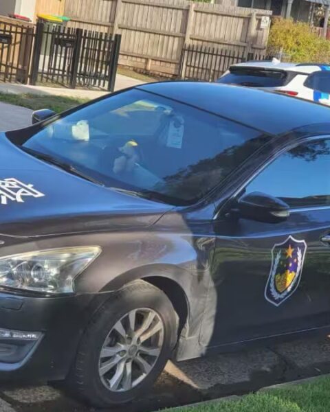 Fake Police Car in Sydney