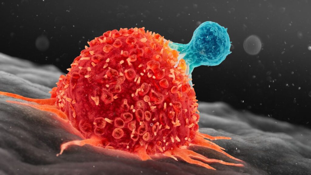 Scientists Find New Way to Supercharge Cancer-Fighting Cells