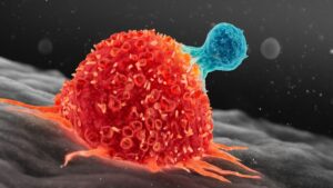 Scientists Find New Way to Supercharge Cancer-Fighting Cells
