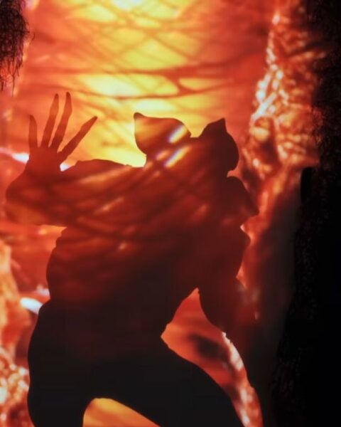 Stranger Things: The First Shadow