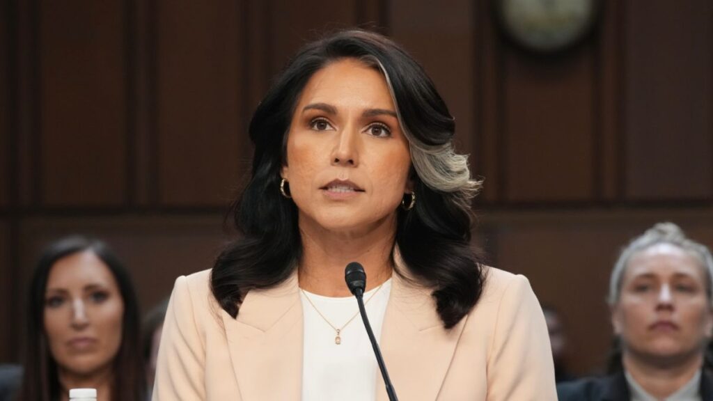 Tulsi Gabbard