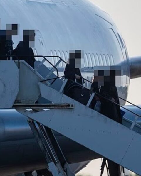 Unmarked government charter planes have been landing at airports including Stansted and RAF Brize Norton packed with hundreds of Afghans