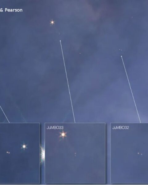 Jupiter Mass Binary Objects (JuMBOs)