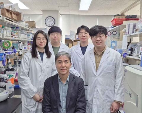 Scientists at the Korea Advanced Institute of Science and Technology (KAIST), led by Professor Kwang-Hyun Cho.