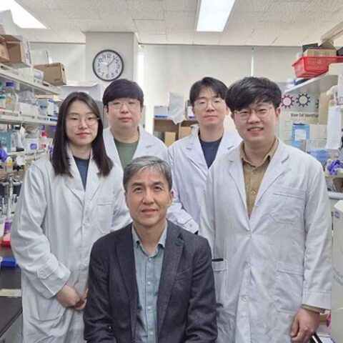 Scientists at the Korea Advanced Institute of Science and Technology (KAIST), led by Professor Kwang-Hyun Cho.