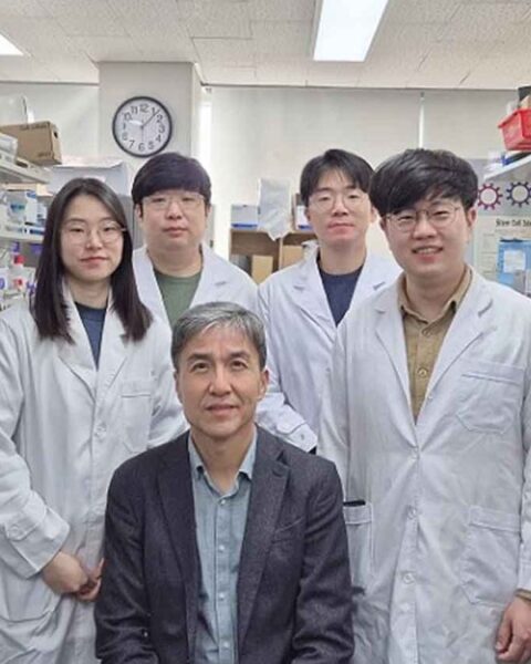 Scientists at the Korea Advanced Institute of Science and Technology (KAIST), led by Professor Kwang-Hyun Cho.