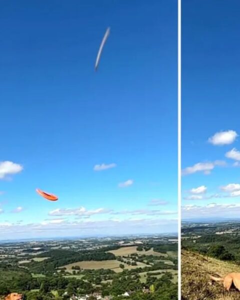 Viral Video Shows Possible UFO Over England’s Malvern Hills