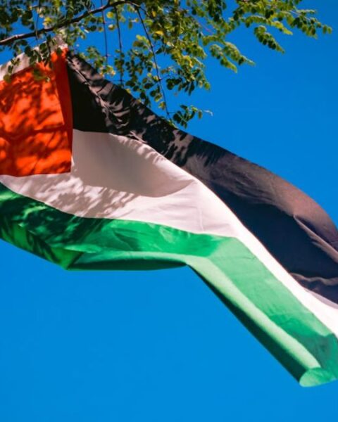 Palestine Flag