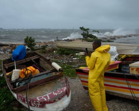 Hurricane Melissa Leaves Jamaica’s Agriculture in Ruins