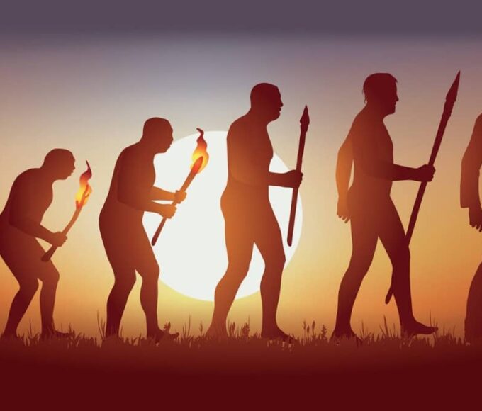 Human Evolution